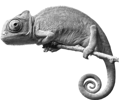 English Monsters chameleon