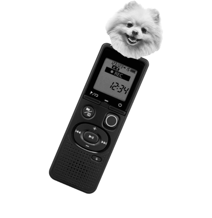 English Monsters remote